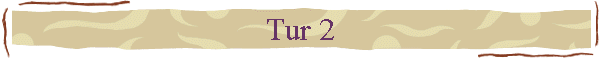 Tur 2